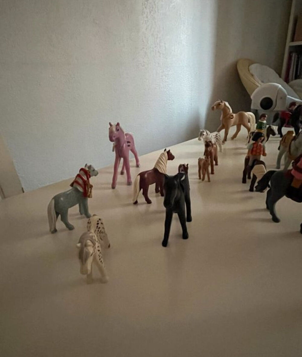 Playmobile Jeux / jouets