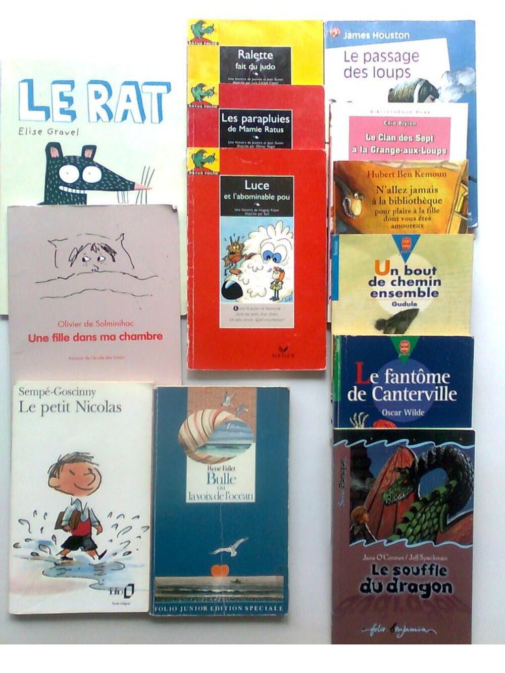 15 livres " jeunesse" -zoe Livres et BD