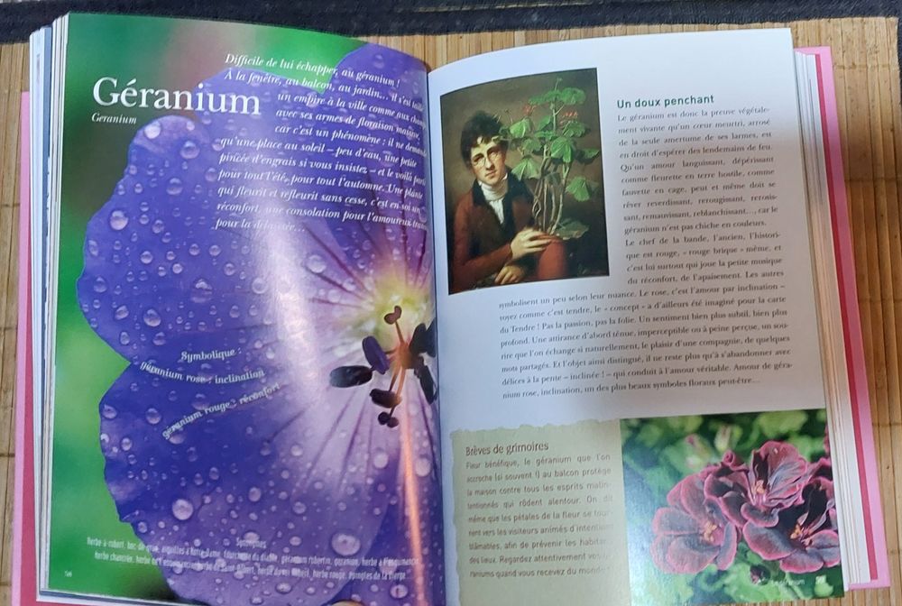 Livre le Langage des fleurs Livres et BD
