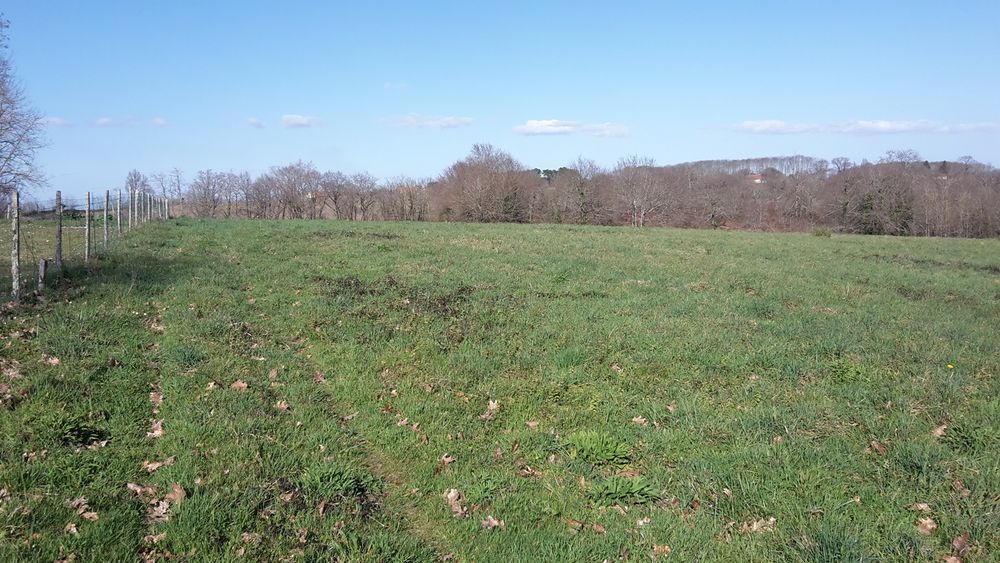 Vente Terrain Terrain cultivable 12 363 m3  mi-terre, mi-forêt à Misson Misson