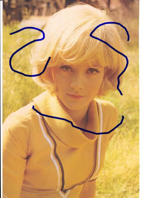 PHOTO recto : SYLVIE VARTAN / Verso : The ANIMALS 3 Roncq (59)