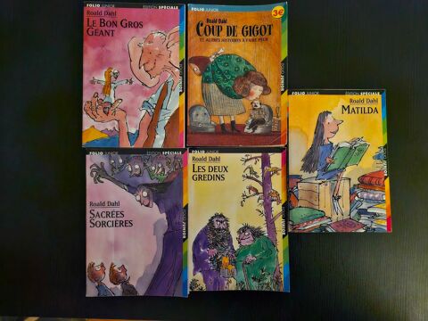 lot de 5 livres 20 Le Cannet (06)