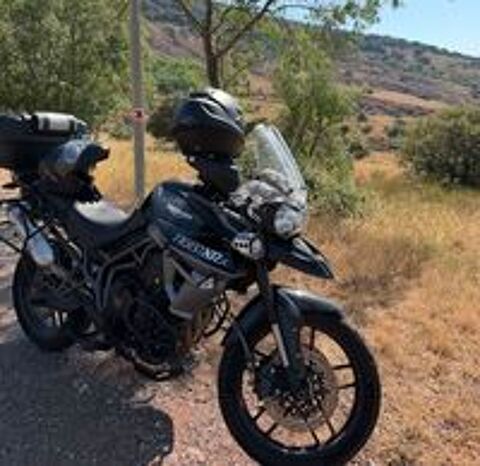 TRIUMPH 2015 occasion 34000 Montpellier