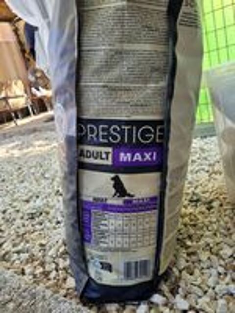   Croquettes pour chien  