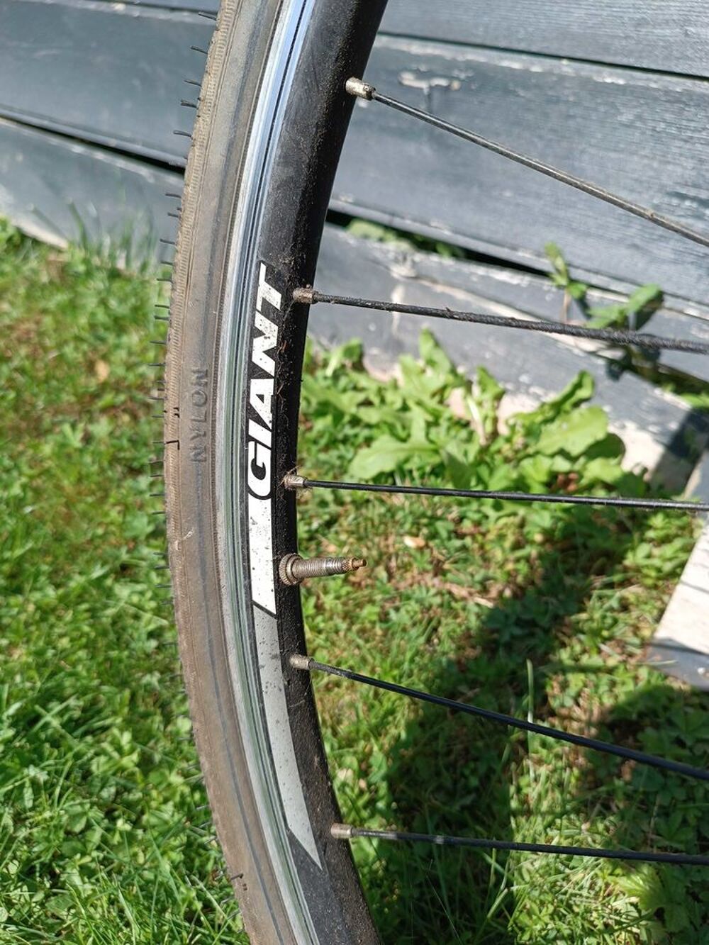 v&eacute;lo vtc Giant Vélos