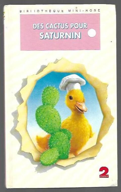 Des cactus pour saturnin 0 Fougères (35)