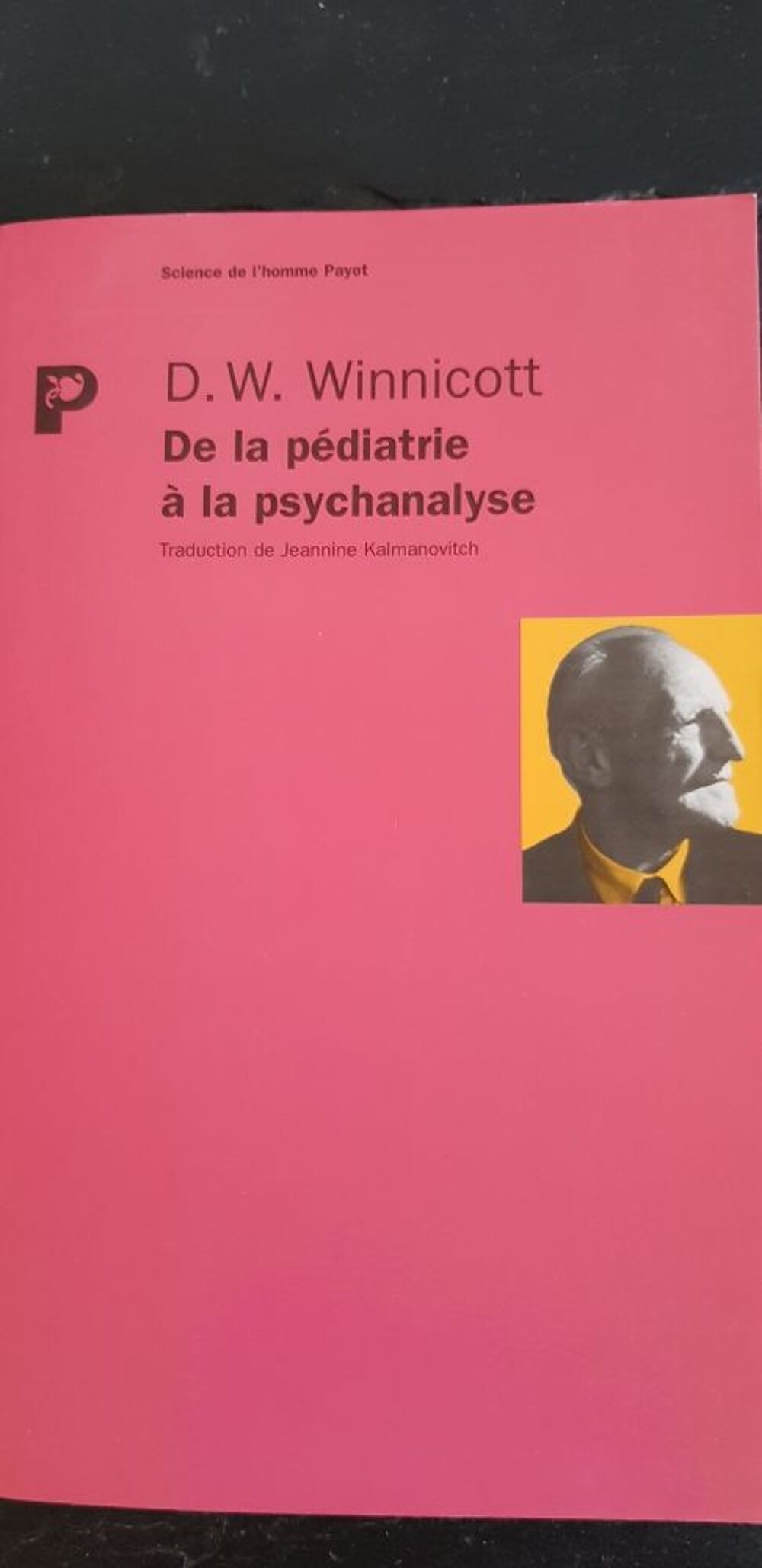 de la p&eacute;diatrie &agrave; la psychanalyse de Winnicott Livres et BD