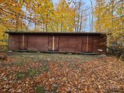   CHALET EN BOIS 