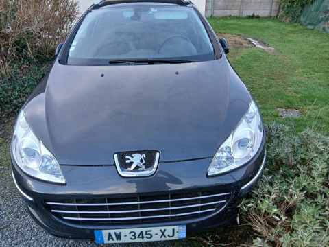 Peugeot 407 SW 2.0 HDi 16V 140ch FAP Pack Limited 2010 occasion Bono 56400