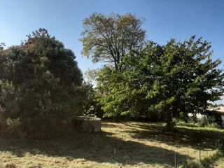  Terrain  vendre 700 m Uchaux
