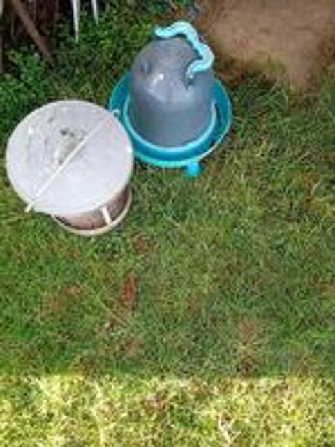   Nécessaire pour poules 