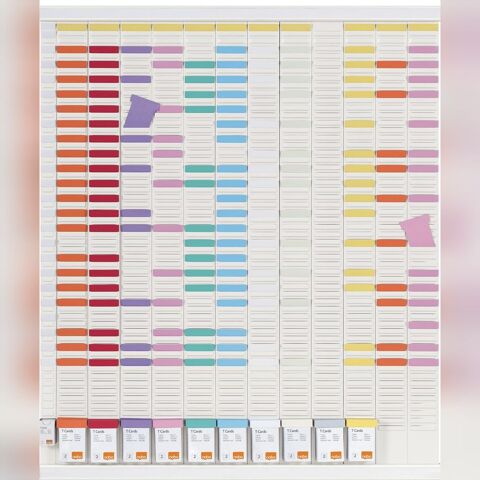 Planning annuel avec fiches en T 12 colonnes, 54 fiches 250 Illzach (68)