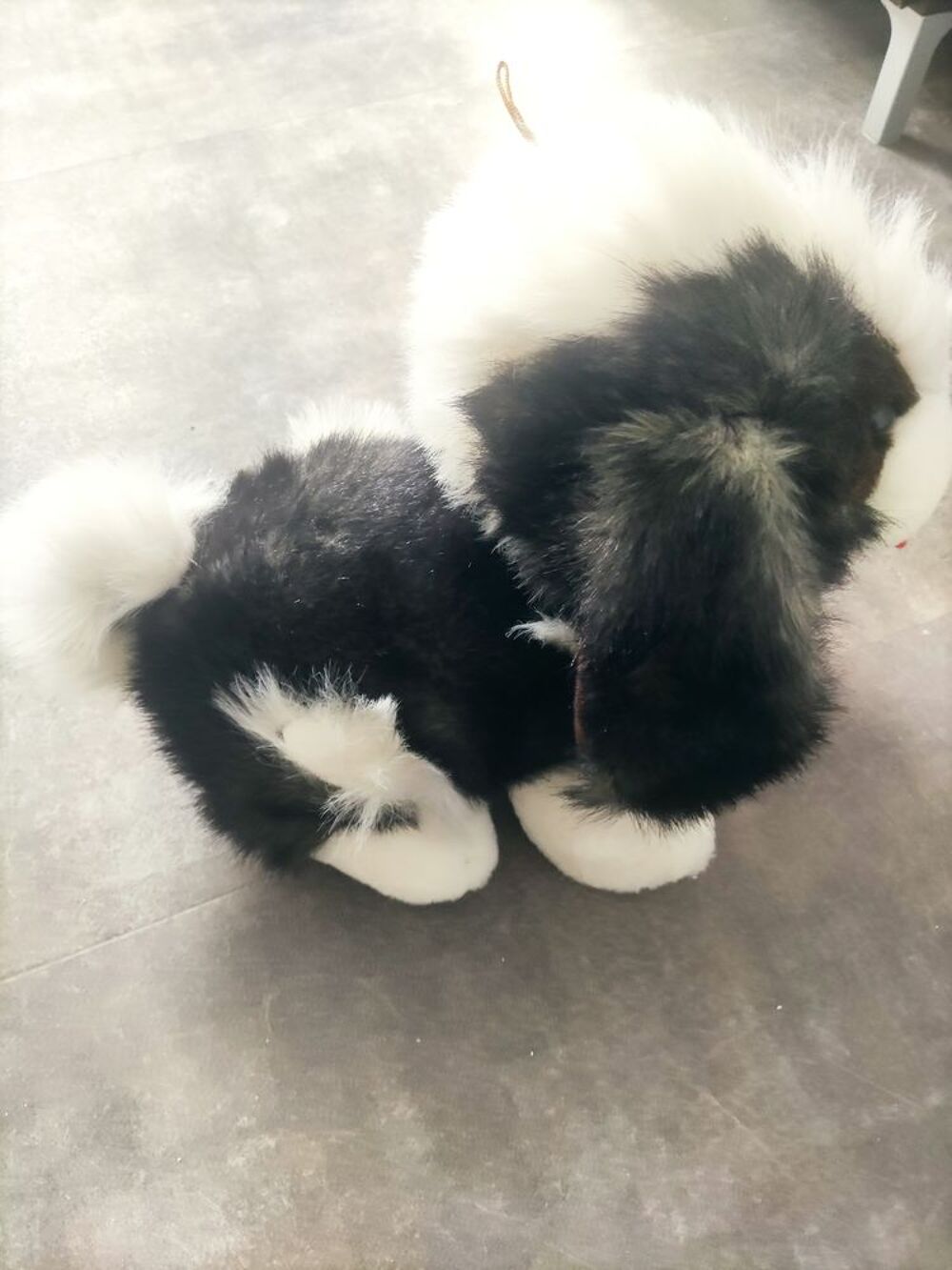 Peluche chien Jeux / jouets