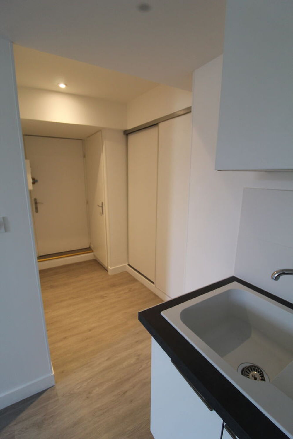 Location Appartement studio meublé quai de france Grenoble