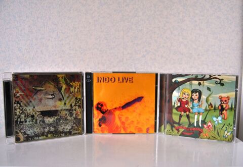 CD INDOCHINE 16 Saint-Lambert-du-Lattay (49)