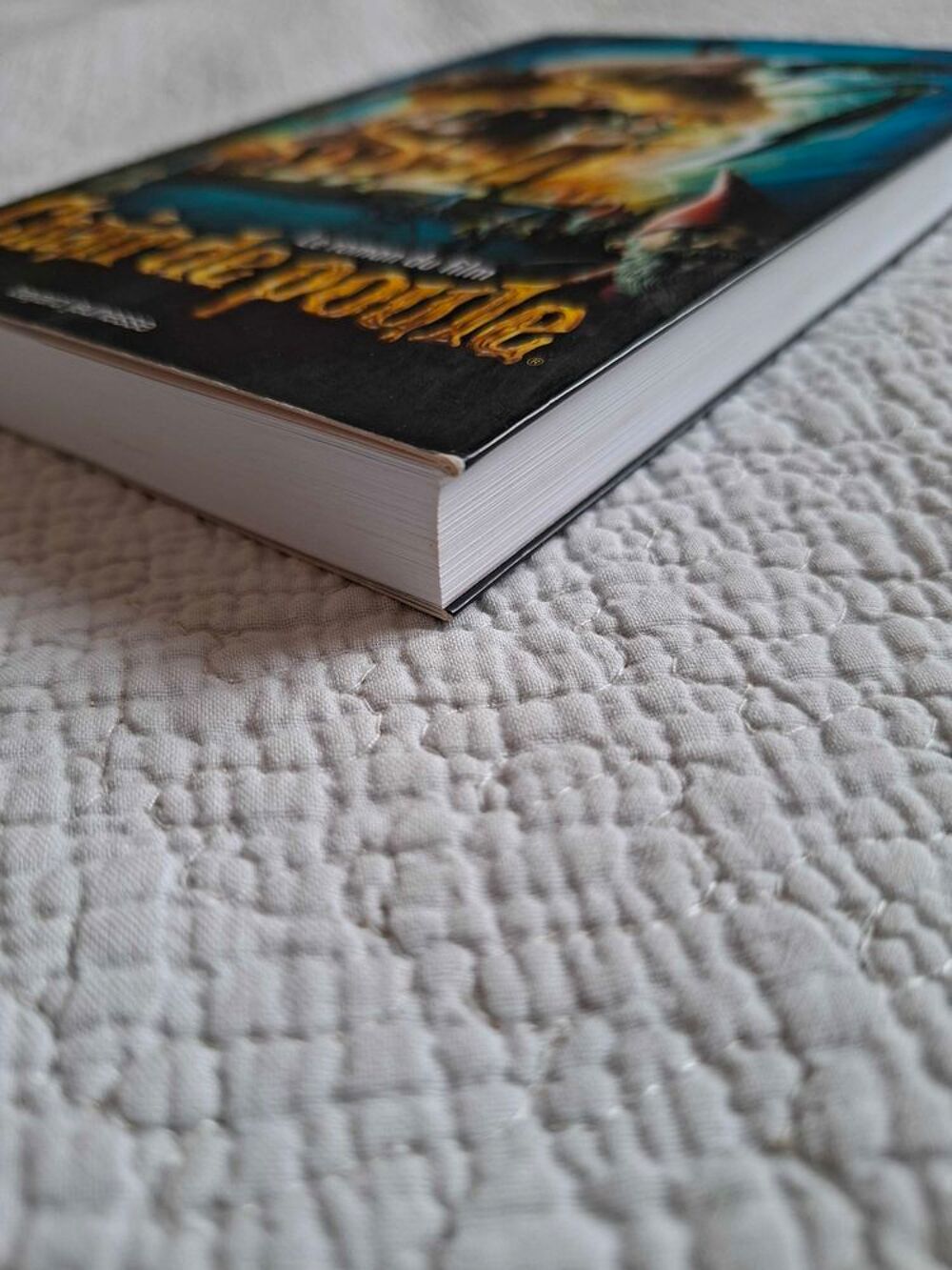Livre chair de poule le roman du film Livres et BD
