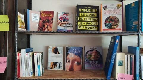 livres adultes 20 Pau (64)