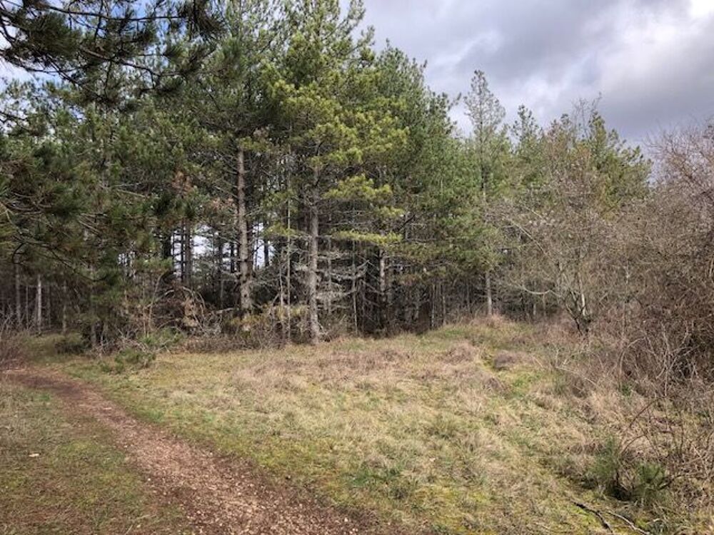 Vente Terrain AUX PORTES SUD DE DIJON TERRAIN LANDES BOIS SUR 1 HA 68 Dijon