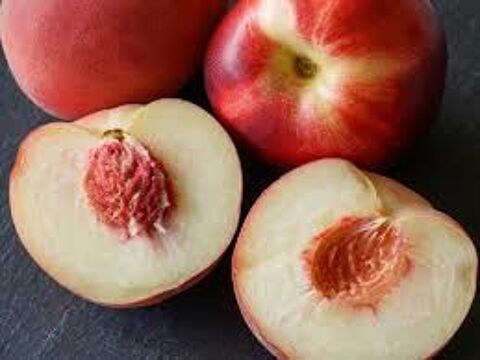 Pêche du jardin : 1 Euros le Kg 
1 Saint-Yrieix-sur-Charente (16)
