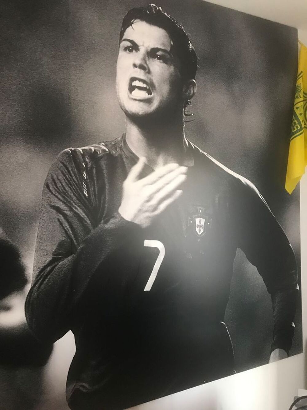 Reprographie Ronaldo Décoration