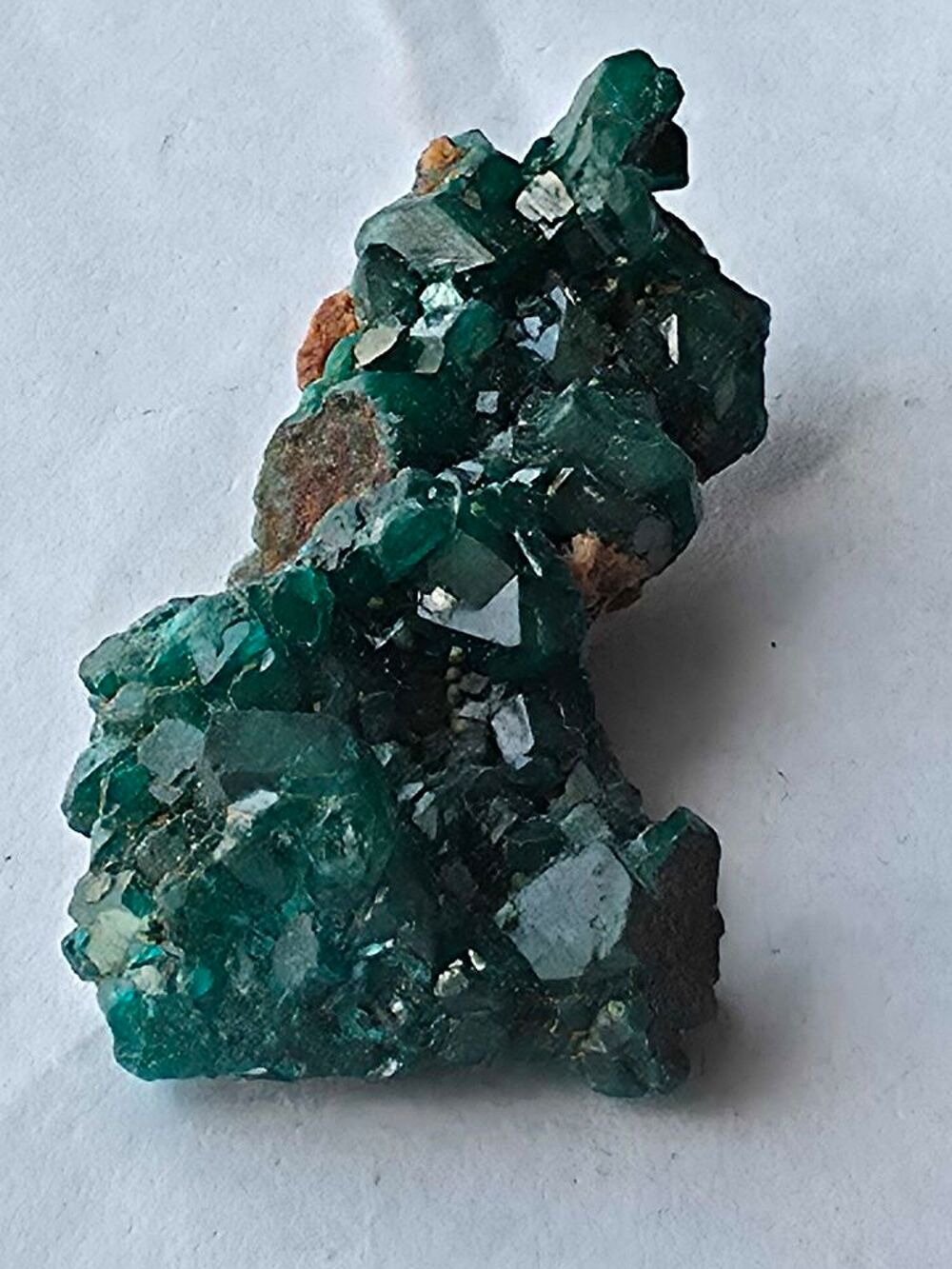 Dioptase brute sur matrice-Min&eacute;ral de collection Katanga 15g 