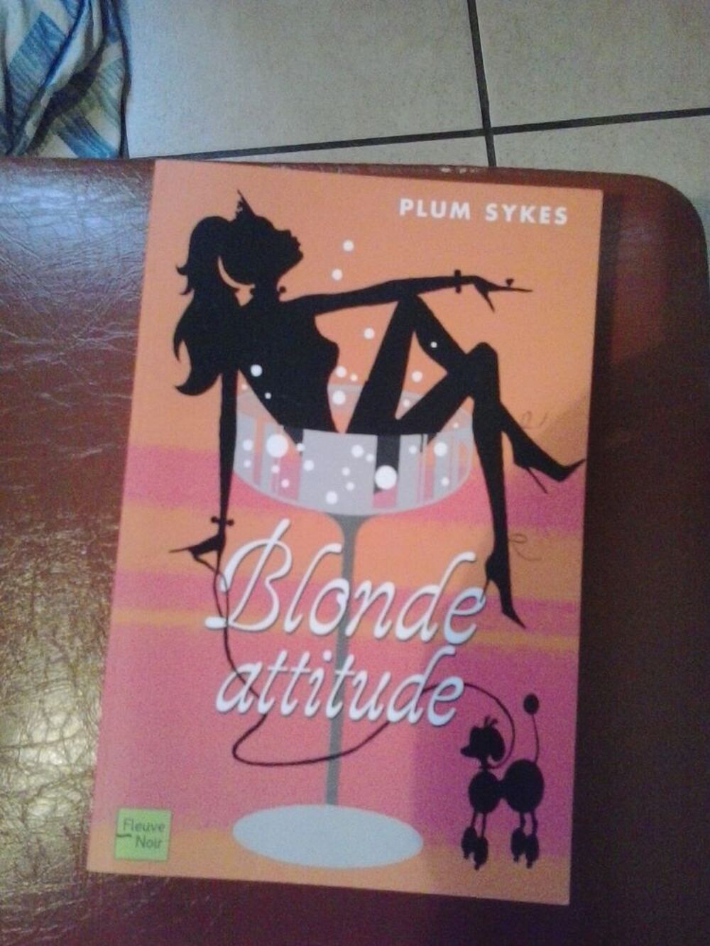 Livre Blonde Attitude
Auteur Plum Sykes
&eacute;dition Fleuve noir Livres et BD