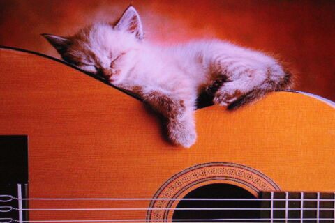 cours de guitare � domicile 25 Vitr� (35)