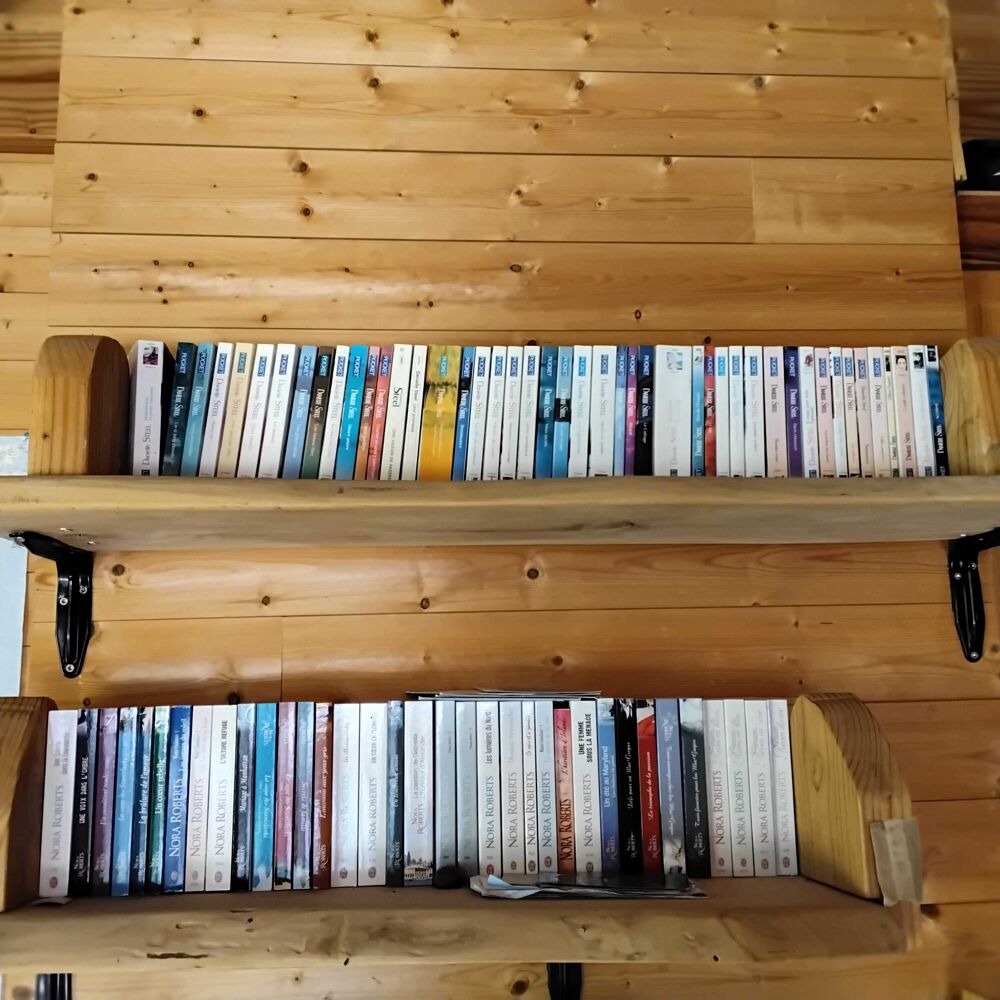 2 LOTS DE LIVRES NORA ROBERTS et DANIELLE STEEL Livres et BD