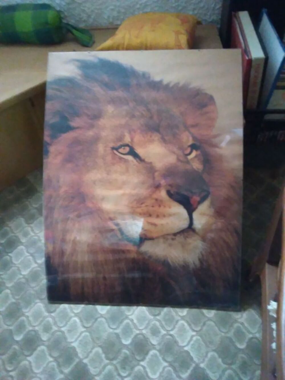 Collection de divers sujets sur le Lion 