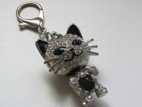 Porte cl� chat neuf 18 Le Grau-du-Roi (30)