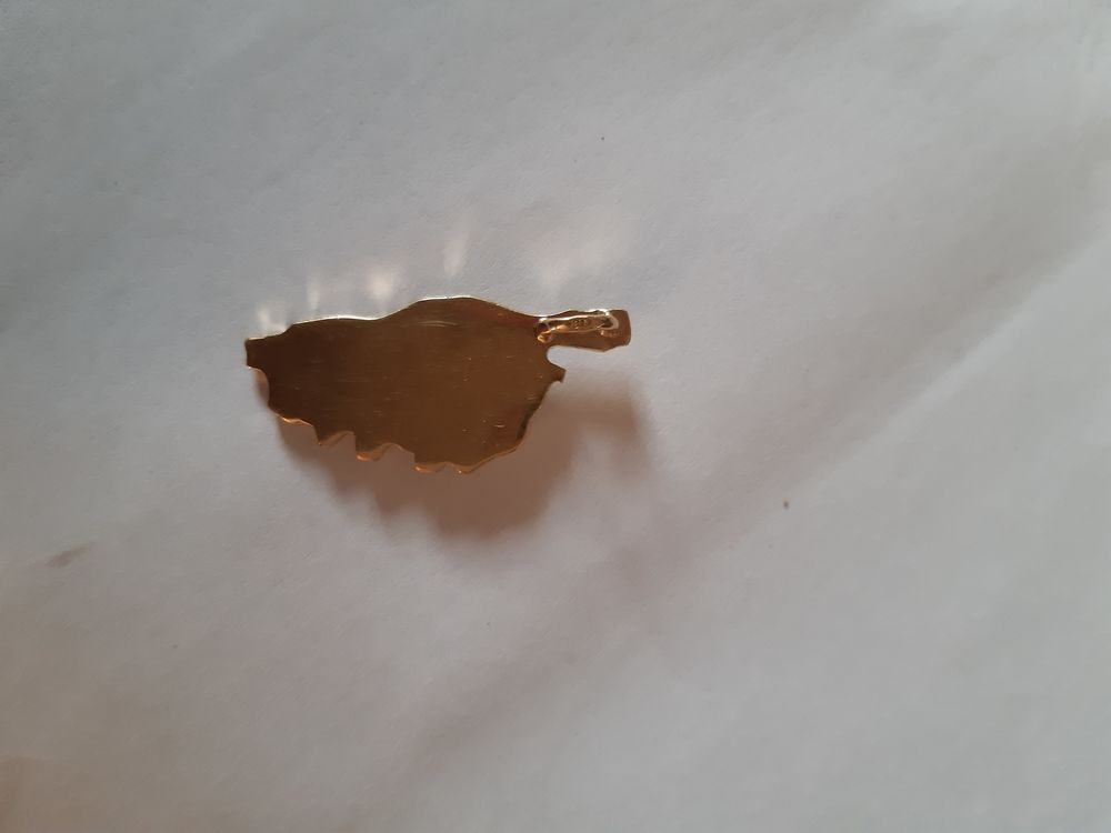 Jolie m&eacute;daille pendentif Corse en Plaqu&eacute; or Bijoux et montres