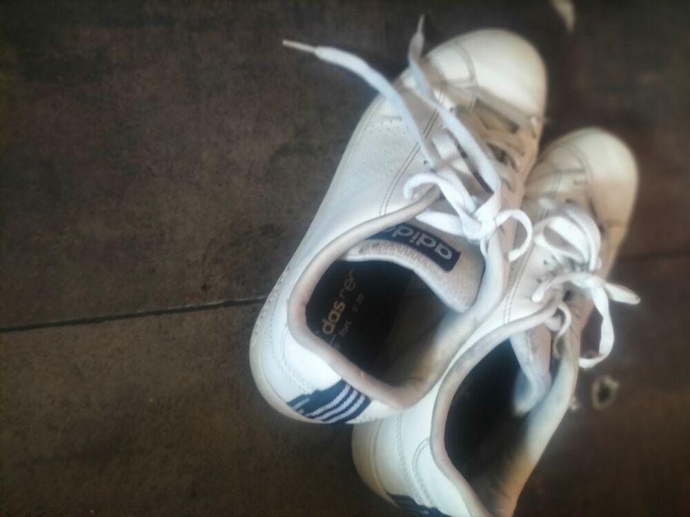 Basket adidas n&eacute;o pointure 41 1/3 tr&egrave;s bon &eacute;tat Chaussures