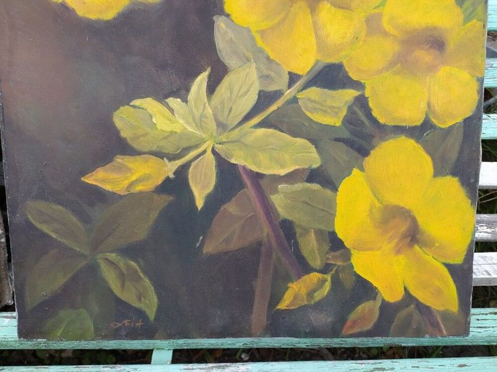 Tableau Fleurs d'Allamanda Jaune Décoration