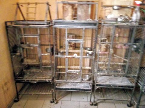 Cage 300 62110 Hnin-beaumont