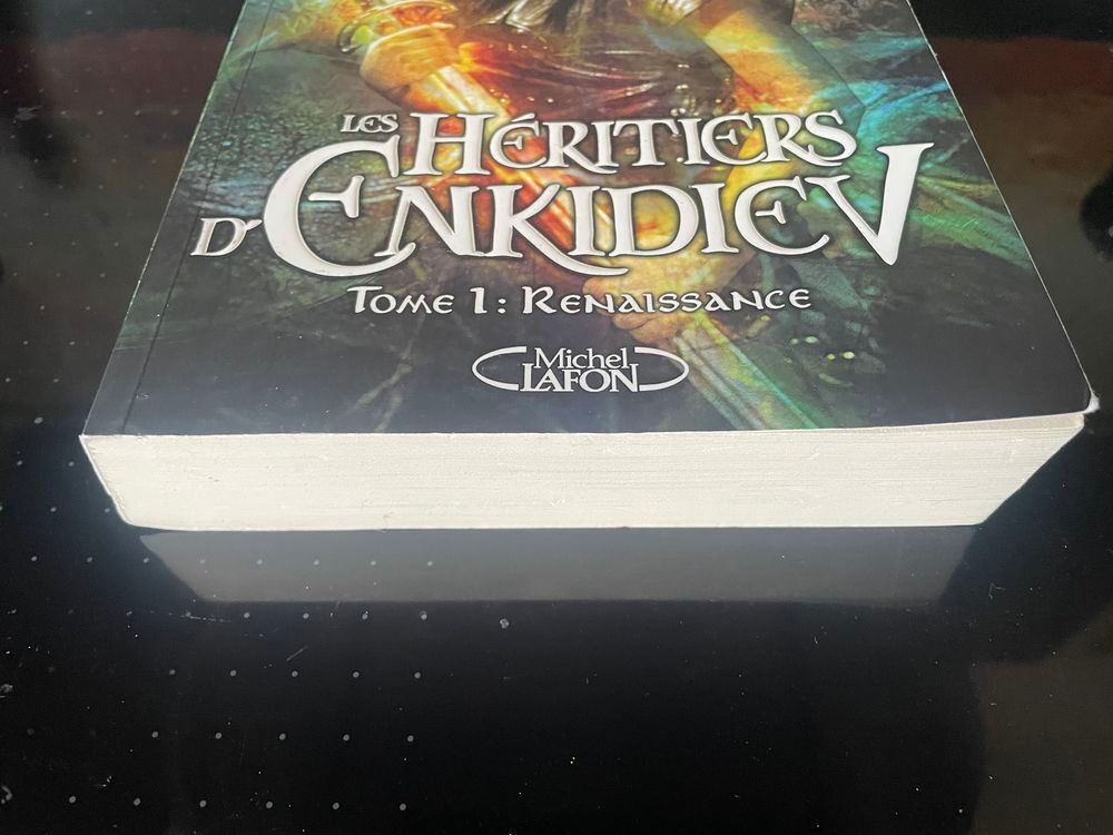 Livre LES HERITIERS D'ENKIDIEV Tome1 Renaissance _ Anne Robi Livres et BD
