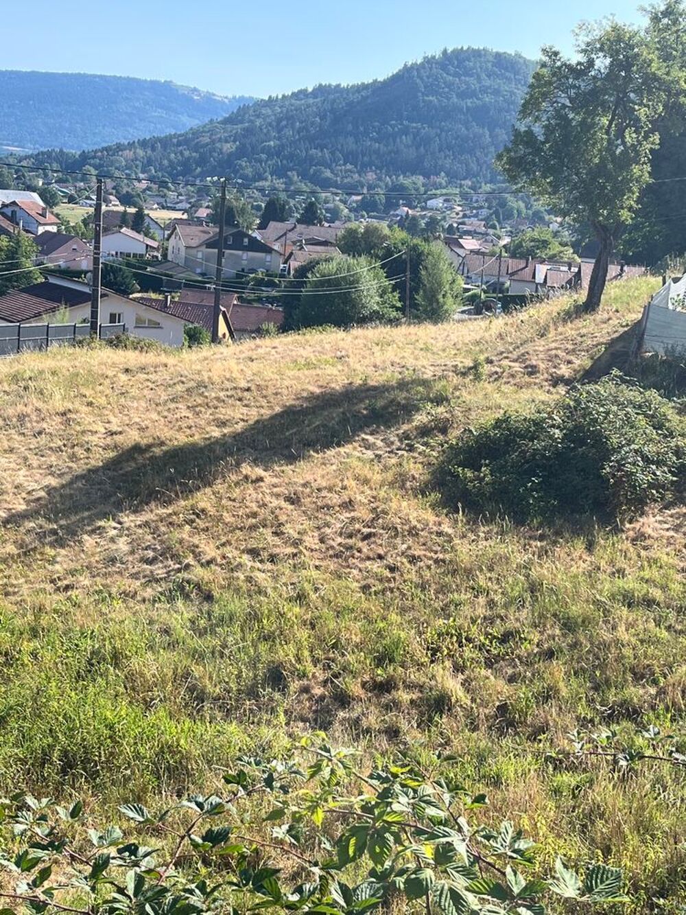 Vente Terrain Terrains Dommartin-lès-remiremont