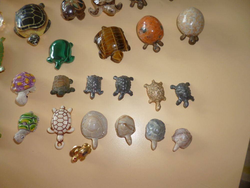 Collection Tortues 