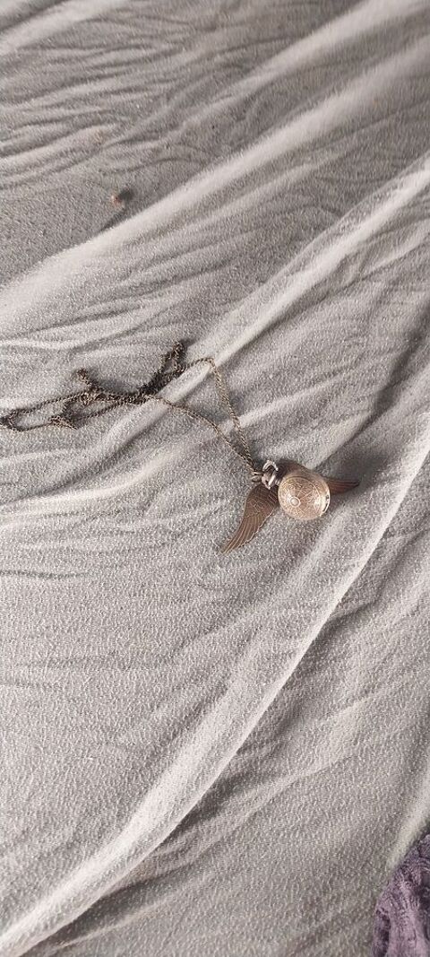 Collier montre vive d'or
10 Estrun (59)