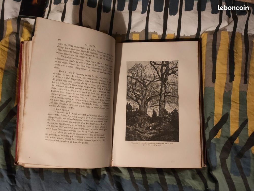 Eugene Muller la F&ocirc;ret gravure animal animeaux arbres art Livres et BD