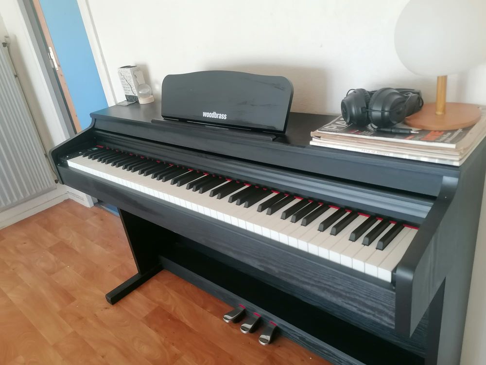 Piano woodbrass ( Francais) Instruments de musique