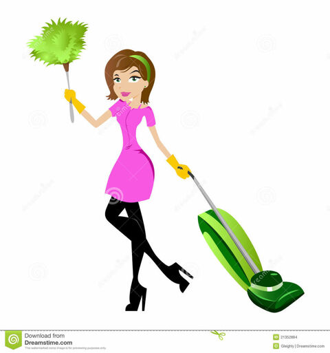 m&eacute;nage, repassage 0 35850 Romill�