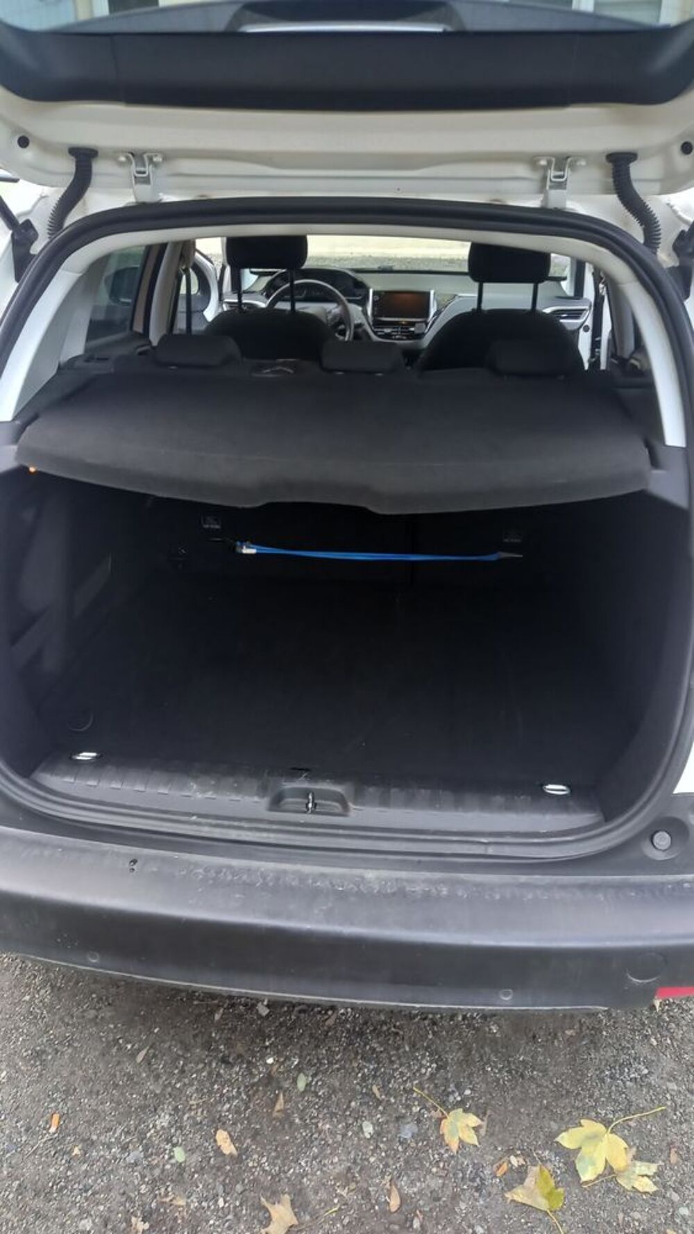 2008 PureTech 110ch S&S BVM6 Active 2019 occasion 73300 Saint-Jean-de-Maurienne