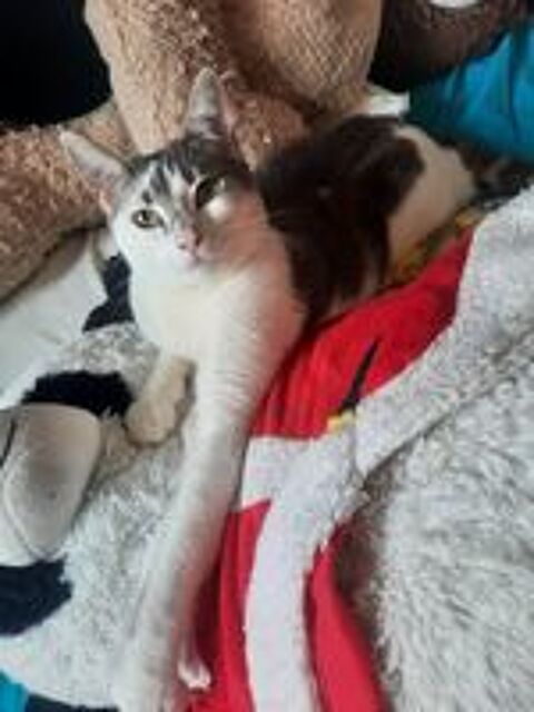   Silo Chatte - Leforest 62 