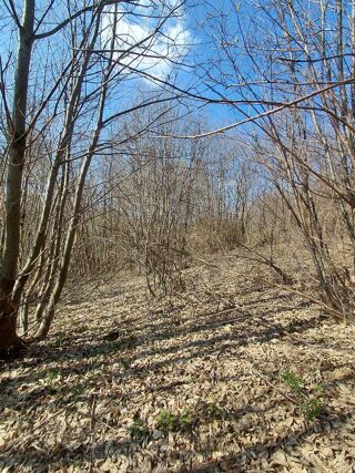  Terrain à vendre 2050 m²