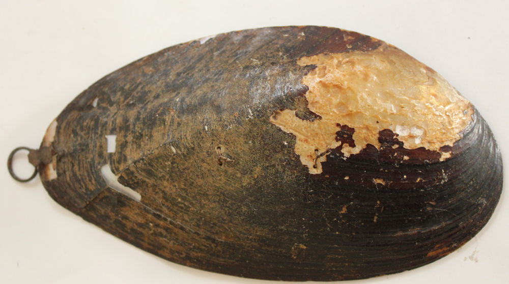 Souvenir du bord de mer ancre avec thermom&egrave;tre
coquillage 