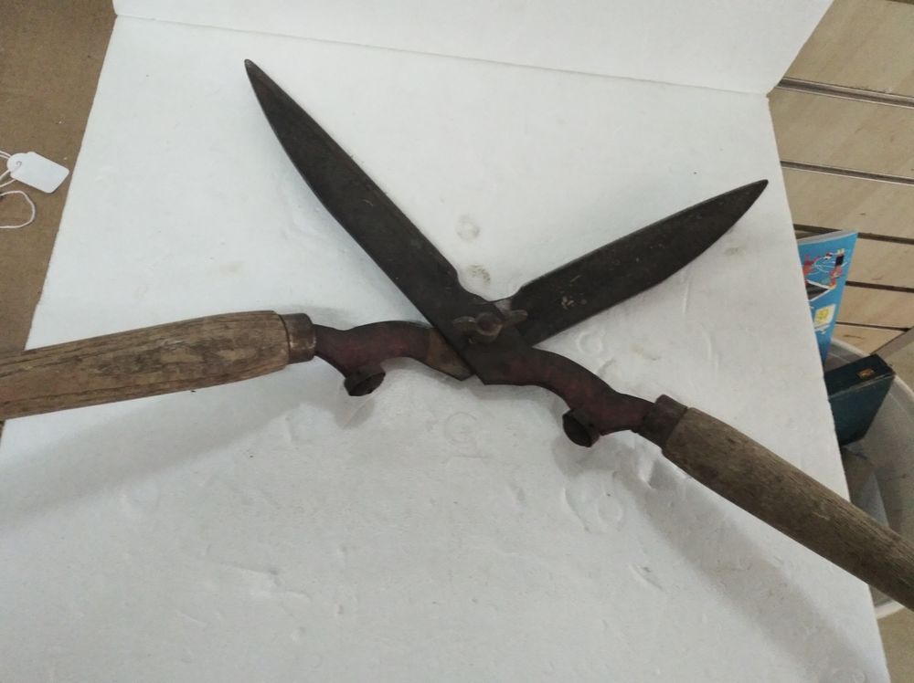 Taille haies manuel Bricolage