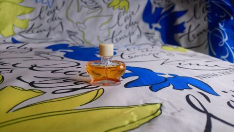 MINIATURE DE PARFUM 0 Trouy (18)