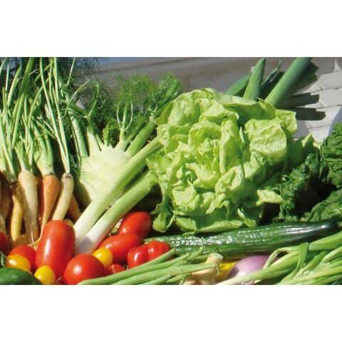  Terrain � louer 100 m� Clermont-ferrand