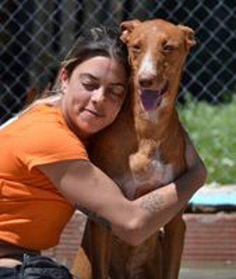   COCO, un compagnon de vie génial ! 