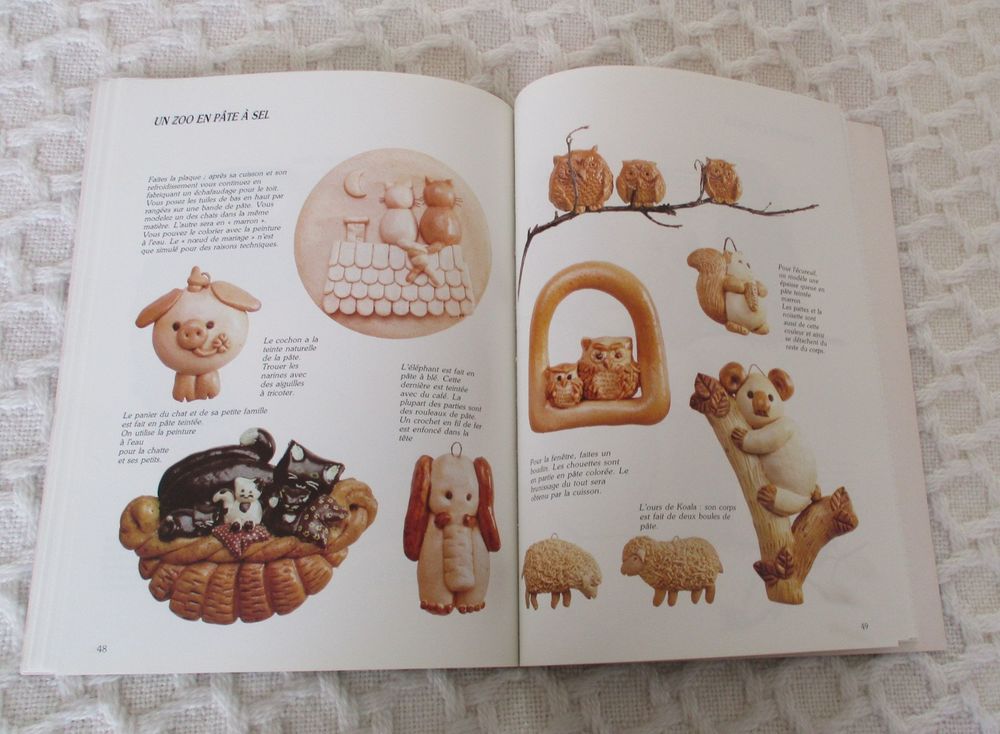 LIVRE DECORS EN PATE A SEL Livres et BD